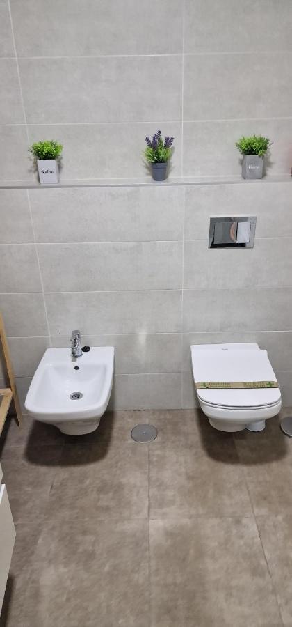 Estudio En Centro De Alicante Apartment Екстериор снимка